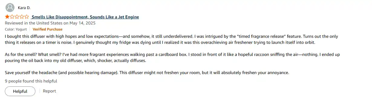 Screenshot of customer feedback regarding excessive noise.